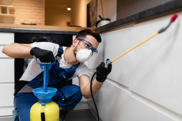 Best Local Pest Control Services  in Trent Woods, NC