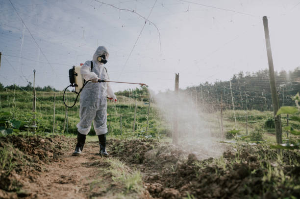 Best Ant Control Services  in Trent Woods, NC