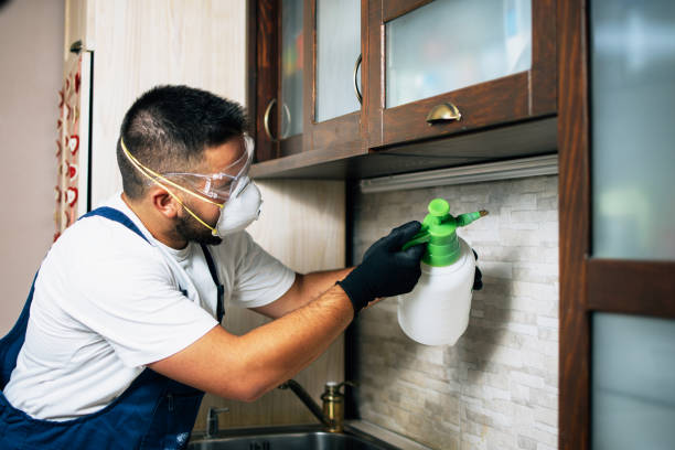 Best Pest Prevention Services  in Trent Woods, NC