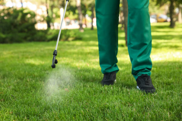 Best Affordable Pest Control Services  in Trent Woods, NC