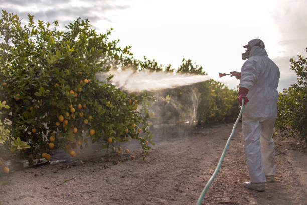 Best Insect Control  in Trent Woods, NC
