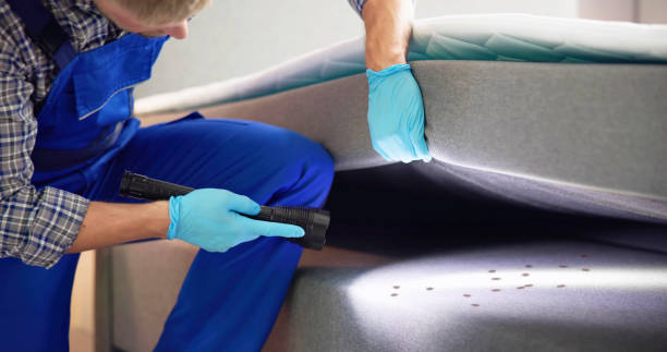 Best Pest Removal Services  in Trent Woods, NC