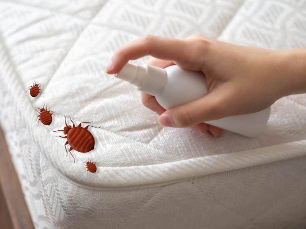 Best Pest Control Near Me  in Trent Woods, NC